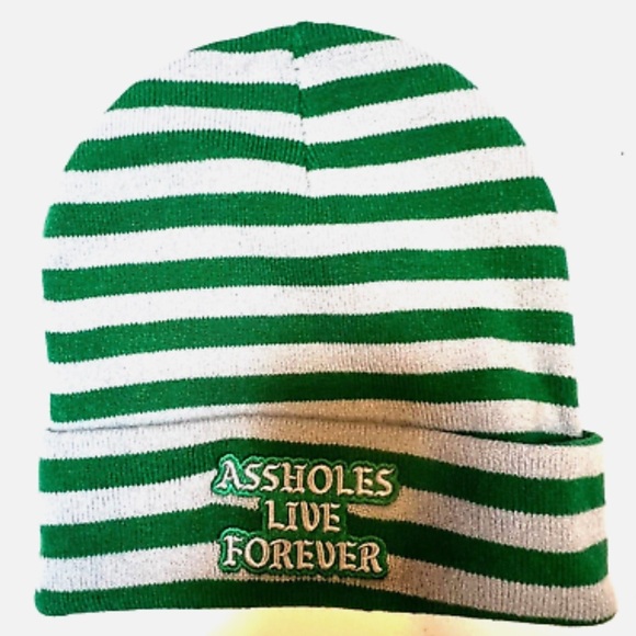 Hat A**holes Live Forever Knit Beanie Green Gray Stripes Lined One Size - Picture 1 of 4